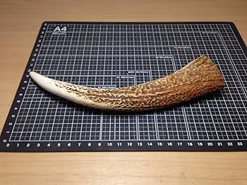 Amazon.co.jp: 8-151＊けんか角1点＊蝦夷鹿＊鹿角＊根付け＊鹿